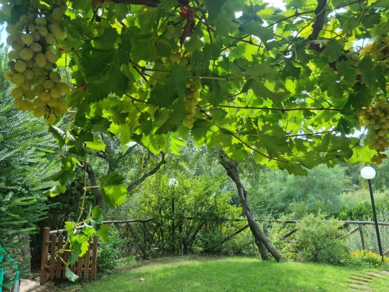 Verde E Mare Villasimius Bagian luar foto